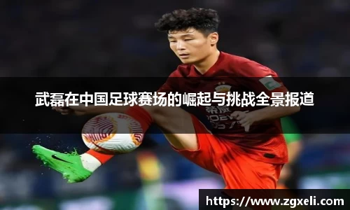 武磊在中国足球赛场的崛起与挑战全景报道